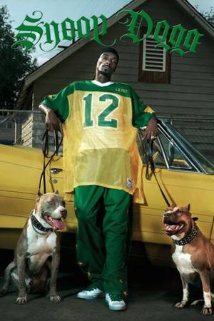 snoop